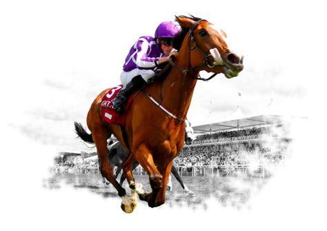 borgata racebook phone number|Sports Betting Guide .